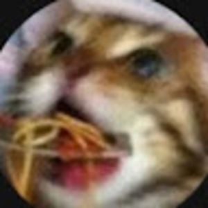 Meet your Posher, Spaggetti_cat